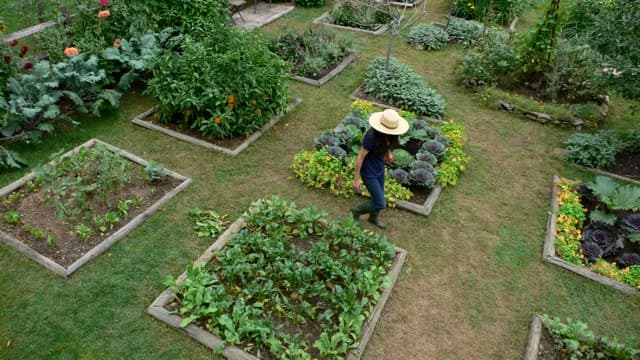 Prime Garden 