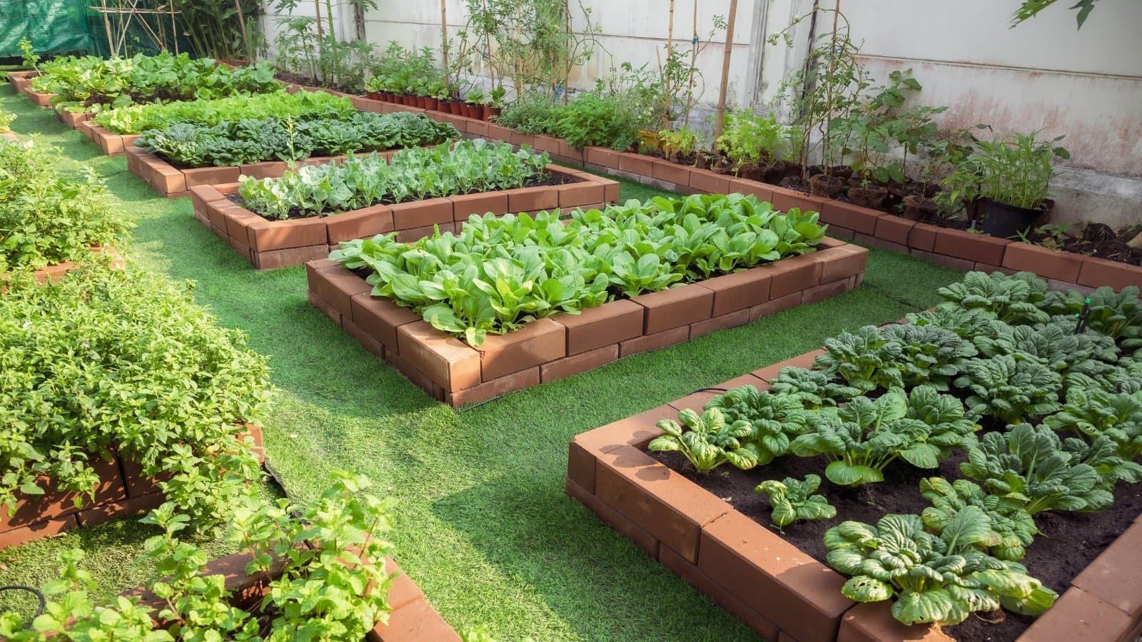 Grux Garden 